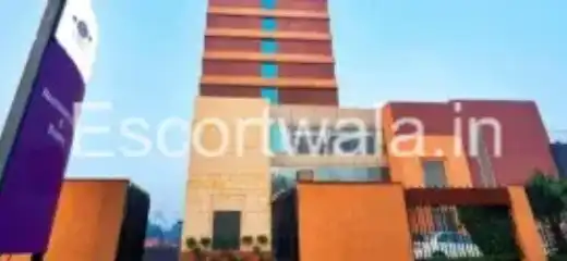 Hotels Female Escorts
